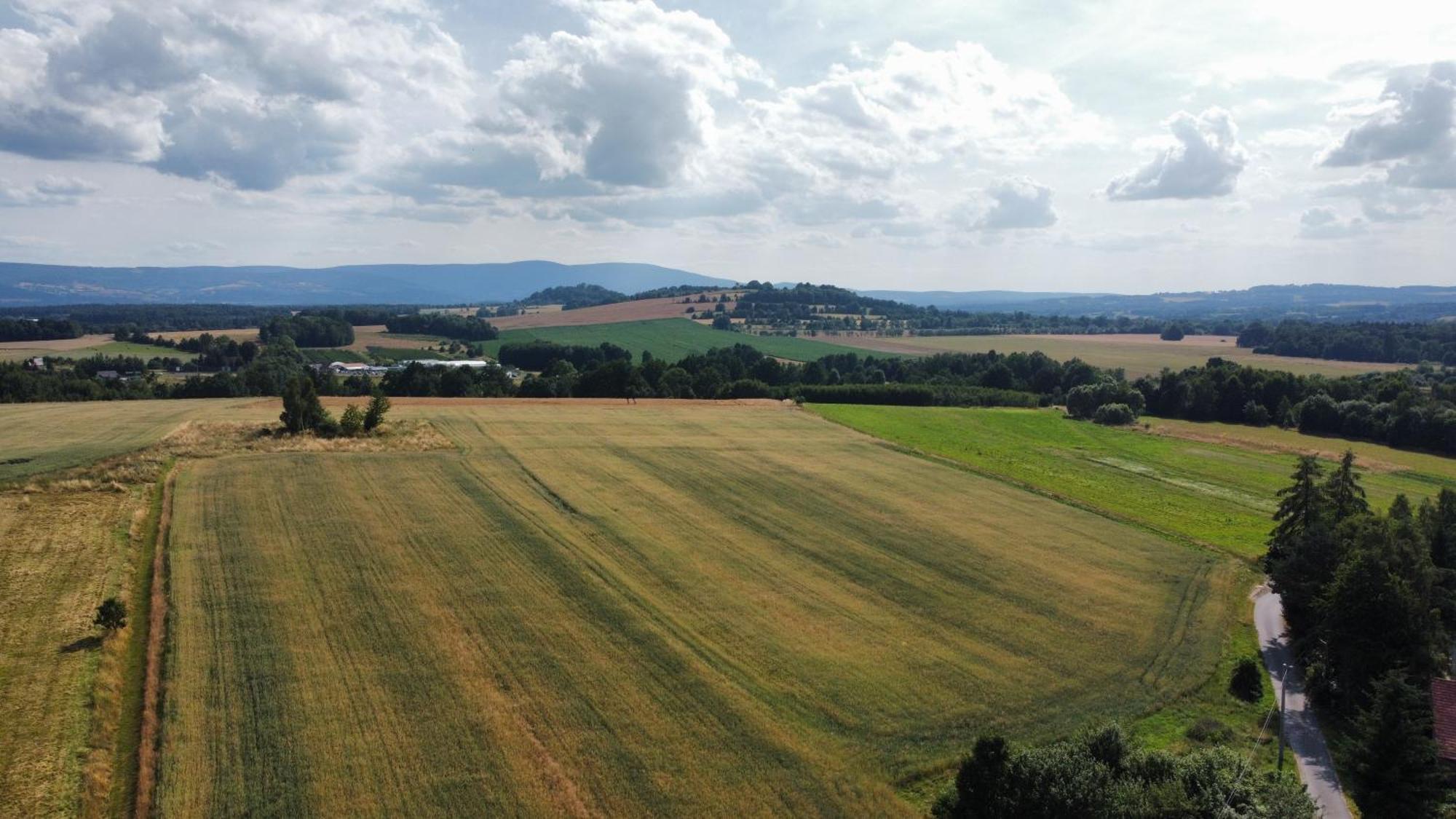 Roze I Jablonie Agroturystyka Gryfow sląski Bagian luar foto