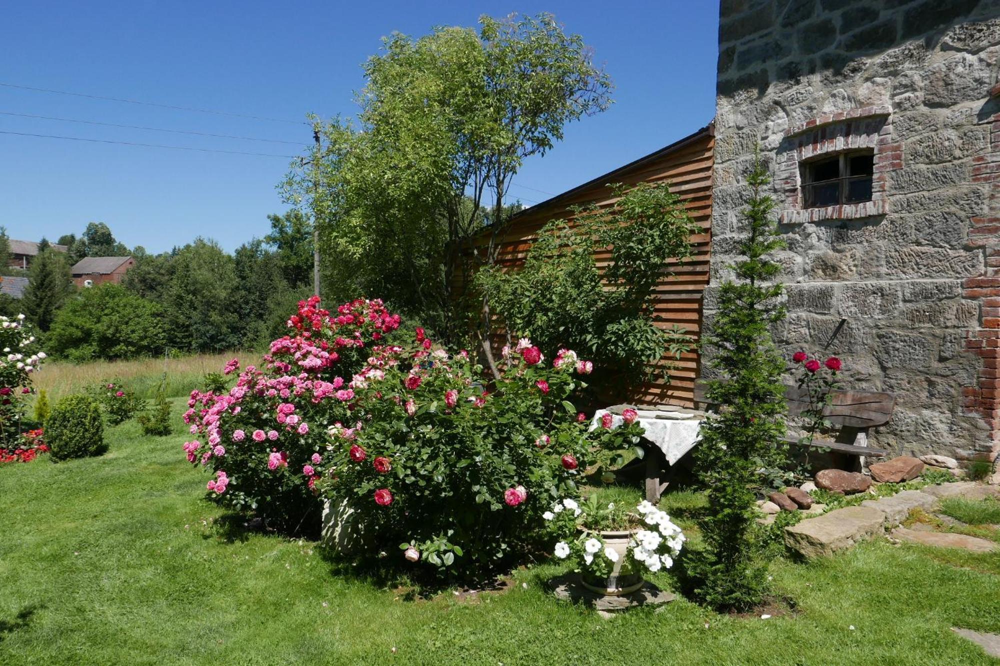 Roze I Jablonie Agroturystyka Gryfow sląski Bagian luar foto